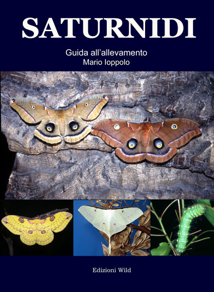 SATURNIDIi - Guida all'allavamento (Edizioni WILD)