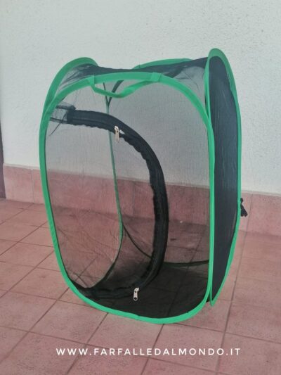 Gabbia 40x40x60